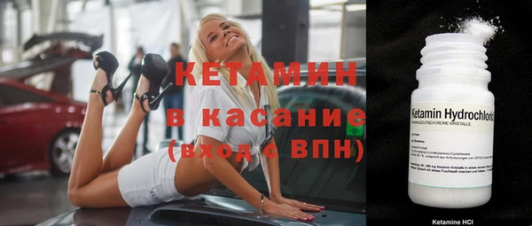 прущие грибы Волоколамск