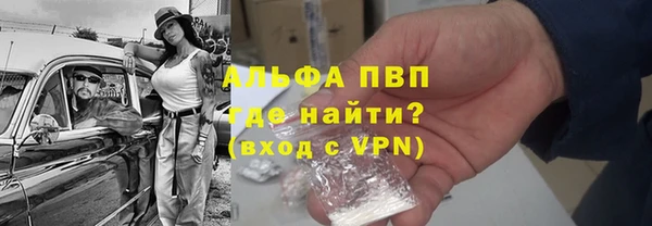 прущие грибы Волоколамск