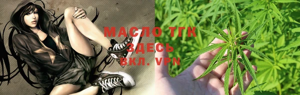 соль ск Верхний Тагил
