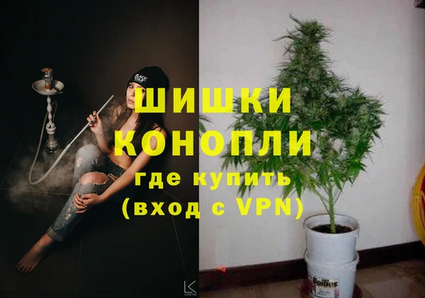 соль ск Верхний Тагил