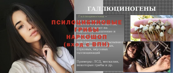 соль ск Верхний Тагил