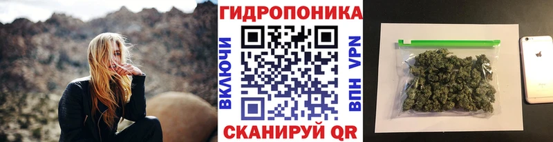 Бошки Шишки гибрид  MEGA   Высоцк  даркнет сайт 